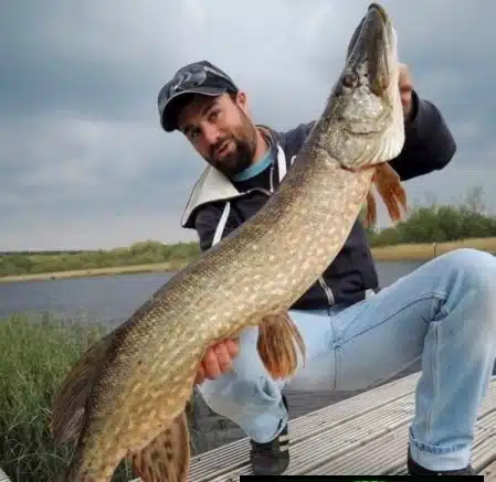 Belle prise de brochet irlandais lors d'un séjour pêche à L'Escapade