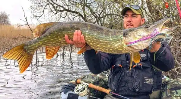 Brochet pêché aux leurres en Irlande dans les lacs de la région de Cavan